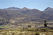 The Colca Valley is one of the most intensively terraced regions in the Andes 